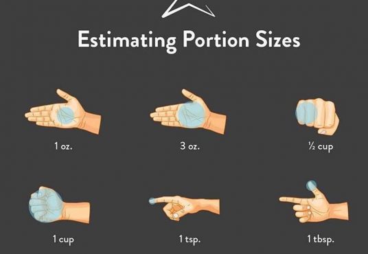 portion size graphic