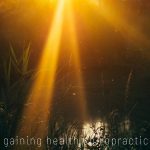 gaining health chiropractic image