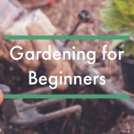 Gardening for Beginners